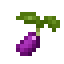 Grape Seed icon