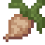 Jicama icon