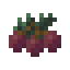 Juniperberry icon