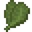 Kale icon