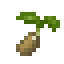 Kiwi Seed icon