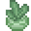 Kohlrabi icon