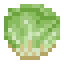 Lettuce icon