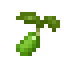 Lettuce Seed icon