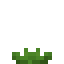 Agave Crop icon