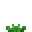 Aloe Crop icon