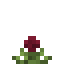 Amaranth Crop icon