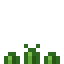 Arrowroot Crop icon