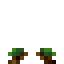 Calabash Crop icon