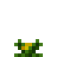 Canola Crop icon