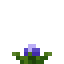 Chia Crop icon