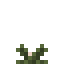 Cotton Crop icon