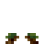 Cucumber Crop icon