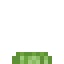 Lettuce Crop icon