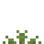 Rice Crop icon