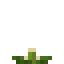 Sesame Seeds Crop icon