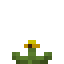 Sunchoke Crop icon