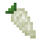 Parsnip icon
