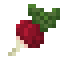Radish icon