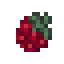 Raspberry icon