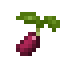 Rhubarb Seed icon