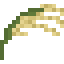 Rice icon