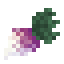 Rutabaga icon