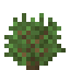 Shaded Garden icon
