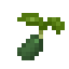 Spiceleaf Seed icon