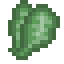 Spinach icon