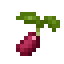 Strawberry Seed icon