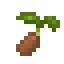 Sweet Potato Seed icon