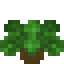 Tropical Garden icon