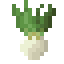 Turnip icon