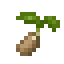 Waterchestnut Seed icon