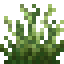 Windy Garden icon