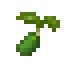 Zucchini Seed icon