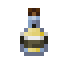 Apple Cider icon