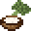 Broccoli and Dip icon