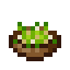 Ceasar Salad icon