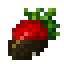 Chocolate Strawberry icon