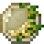 Meesua icon