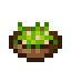 Mixed Salad icon