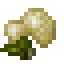 Raw Tofabbit icon