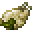 Raw Toficken icon