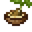 Seed Soup icon