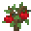 Apple Sapling icon