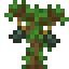 Avocado Sapling icon