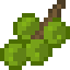 Candlenut icon