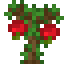 Cashew Sapling icon